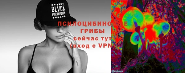 ALPHA PVP Ростов