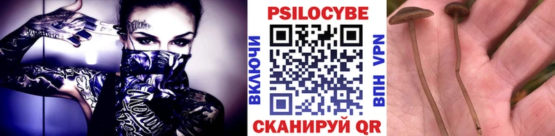 Псилоцибиновые грибы Cubensis  купить наркотик  Красный Сулин 