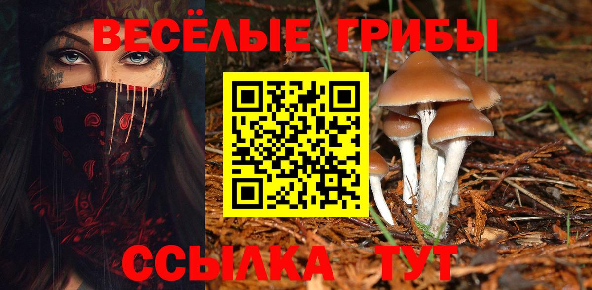 Галлюциногенные грибы прущие грибы  Вход с VPN  Красный Сулин  Псилоцибиновые грибы Magic Shrooms 